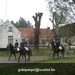 IMG_6051 (Large)