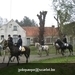 IMG_6052 (Large)