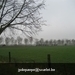 IMG_6056 (Large)