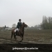 IMG_6067 (Large)