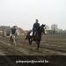 IMG_6069 (Large)