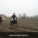 IMG_6075 (Large)