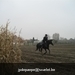 IMG_6077 (Large)