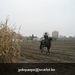 IMG_6078 (Large)