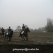 IMG_6079 (Large)