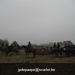 IMG_6098 (Large)