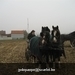 IMG_6122 (Large)