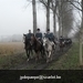 IMG_13410 (Large)