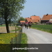 gordel+voorjaarswandeling (2)