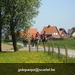 gordel+voorjaarswandeling (3)