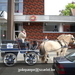 gordel+voorjaarswandeling (60)