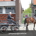 gordel+voorjaarswandeling (61)