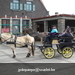 gordel+voorjaarswandeling (62)