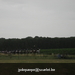 asper zondag 10-07-11 002