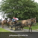 asper zondag 10-07-11 012