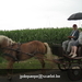 asper zondag 10-07-11 026