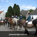 asper zondag 10-07-11 085