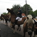 zat 09-07-11 060