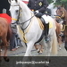 reynaert 20144-5