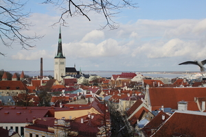 IMG_5503