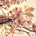 587503_vintage-wallpapers-hd-flower-pictures-free-download-wallpa