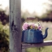 Flowers-On-Teapot-Wallpaper-For-Background