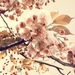 vintage-floral-wallpaper5