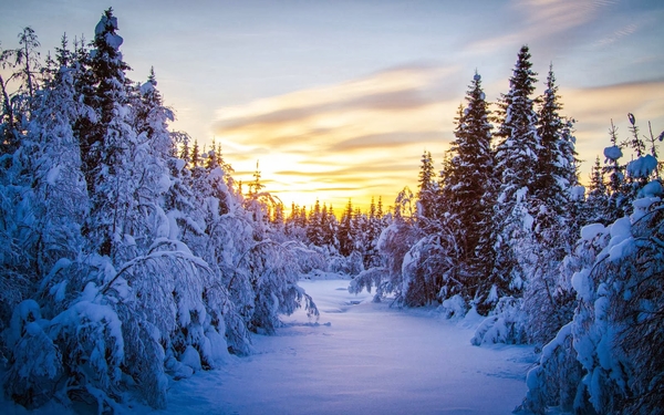 pad-tussen-de-bomen-door-bedekt-met-dikke-laag-sneeuw-hd-winter-b