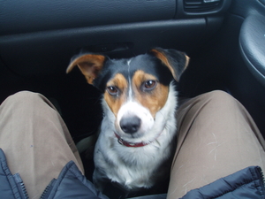 vakantie 2008 037
