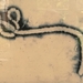 Ebola Virus