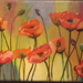 papaver