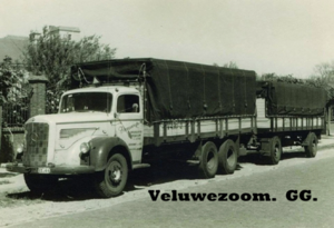 MERCEDES-BENZ.L312
