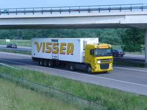 Visser