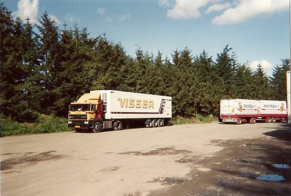 Visser