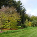 Arboretum Wespelaar