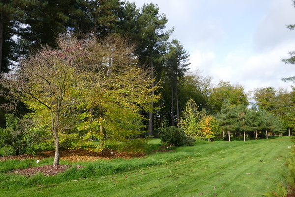 Arboretum Wespelaar