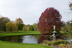 Arboretum Wespelaar