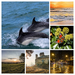 cottage-2572575_960_720-COLLAGE