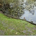sized_P1070510