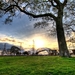trees_landscapes_grass_city_hdr_13670_1920x1080