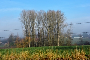 DSC_1821