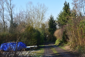DSC_1955
