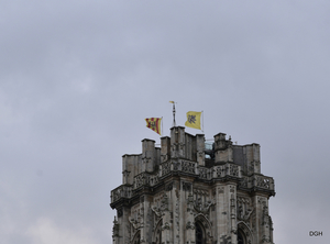 123-_DSC7372
