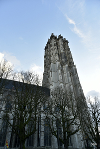 131-_DSC7391