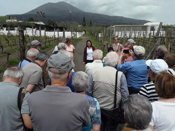 20180412_Cantina_en_Vesuvius (1)