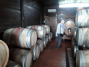 20180412_Cantina_en_Vesuvius (3)