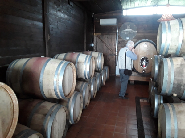 20180412_Cantina_en_Vesuvius (3)