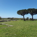 20180413_Paestum (3)