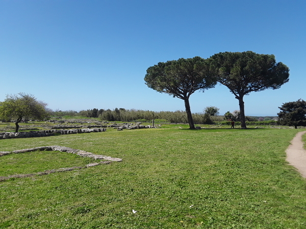 20180413_Paestum (3)