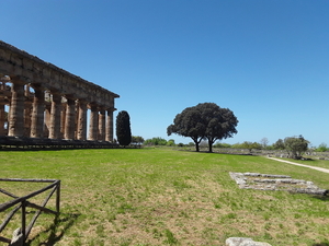 20180413_Paestum (8)